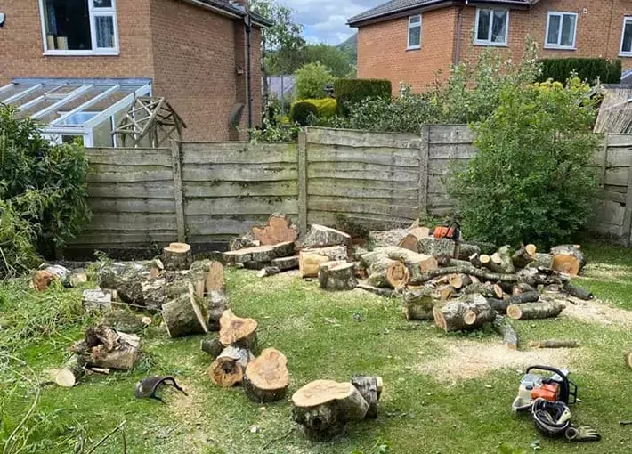 Chopped logs